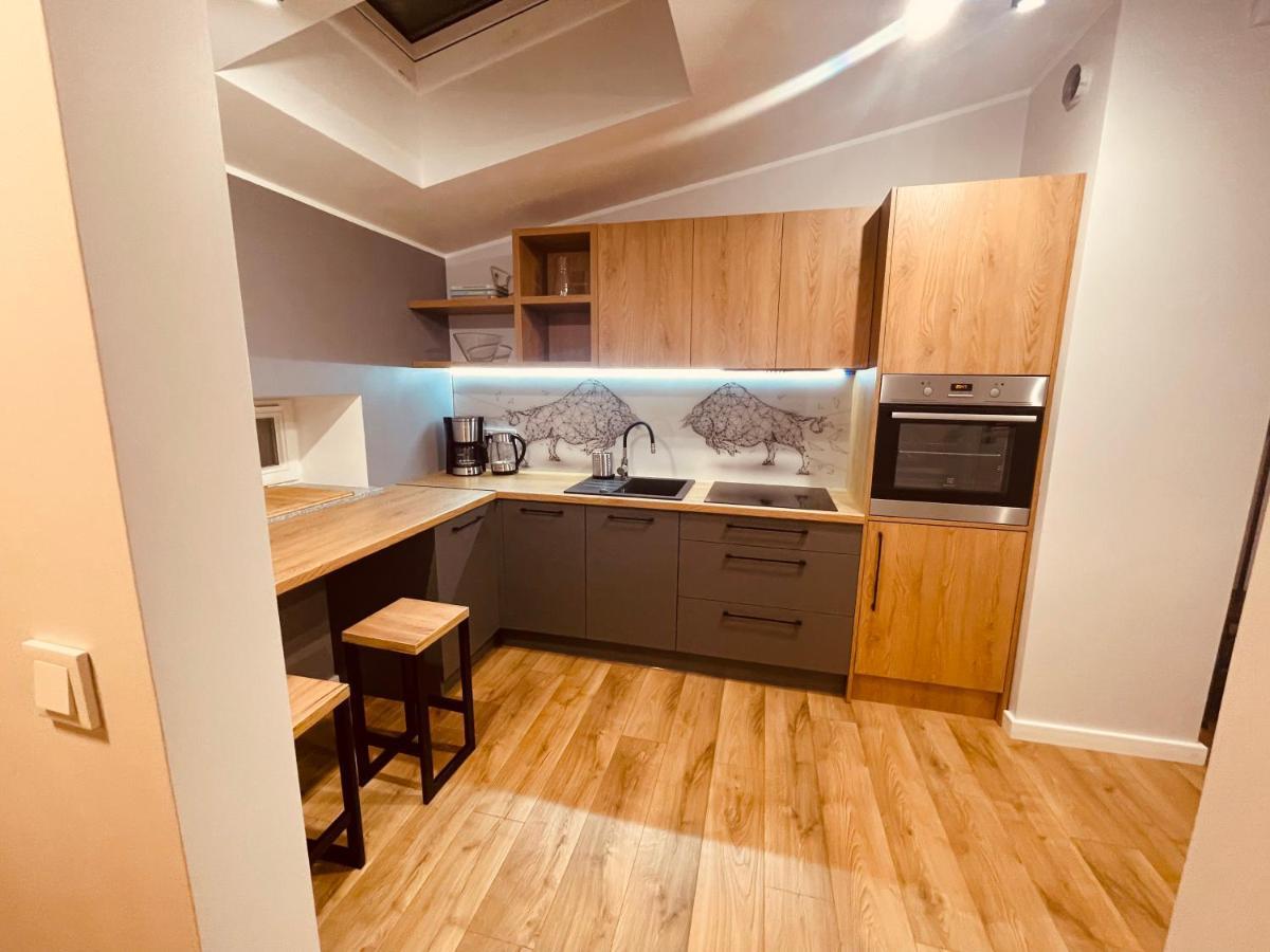 Apartamenty Ktw Kosciuszki 41 - Sky & Design Katoviçe Dış mekan fotoğraf